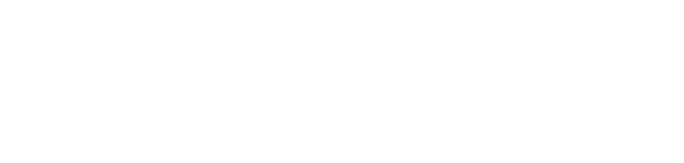 Nevoxel — Steering Maritime Talent